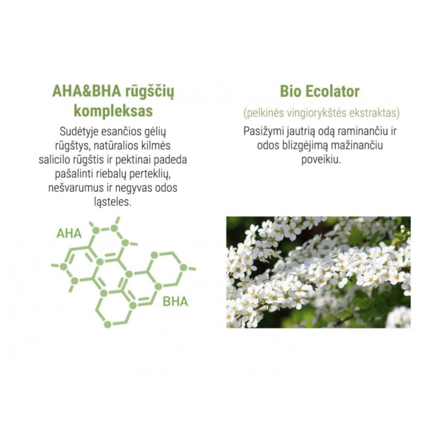 Cell Fusion C PH CONDITION TONER | Tonikas riebiai odai 